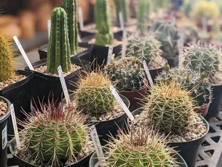 Eco Gro