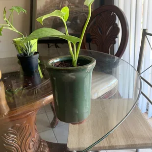 Got the pot from here.