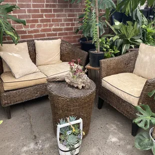 Come sip on your component chai latte here