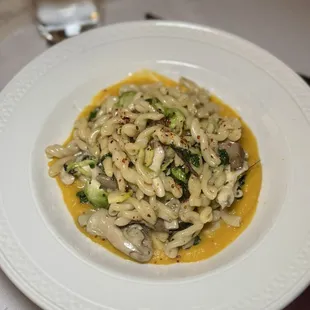 Gemelli with oyster mushrooms, Brussels sprouts, Swiss chard, squash puree, and Aleppo pepper