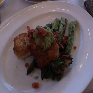 Halibut