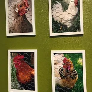 Inside  (chicken wire art?)
