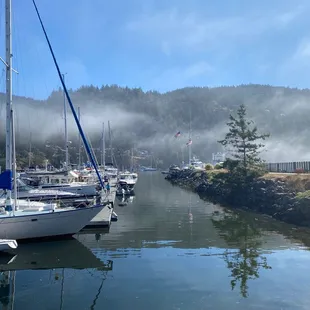 boats docked in a marina