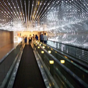 The Leo Villareal light art walkway from the East building to the cafe area at NGA. So much fun to walk through!
