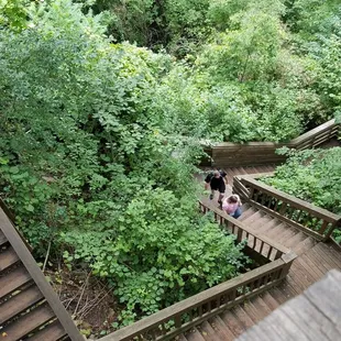 The steps..... Plenty of them.