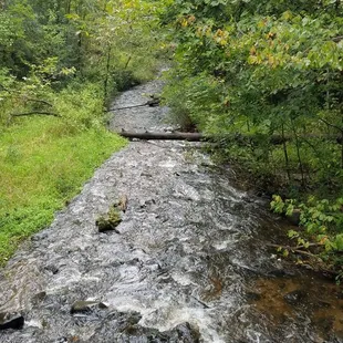 The stream heading to the St Croix river
