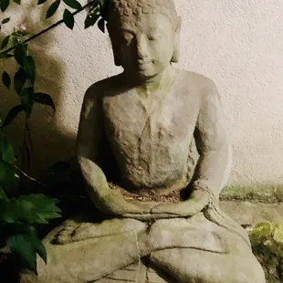 Buddha