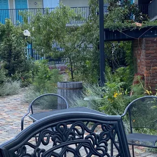 The court yard looking at weeds