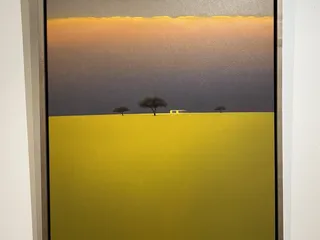 Windsor Fine Art