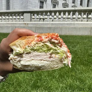 sandwiches, food, sandwich