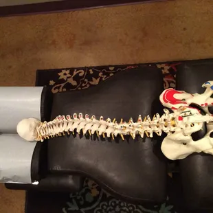 Have you had your spine checked?