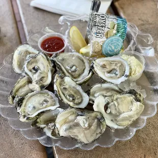 Fresh Oyster