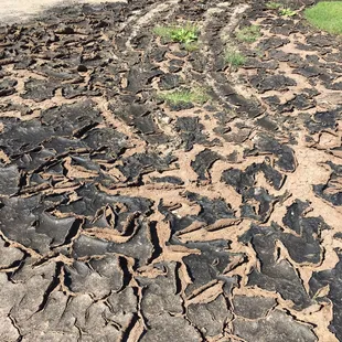 Casey Nakama Golf Development Center