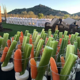 Mini veggie shooters anyone??