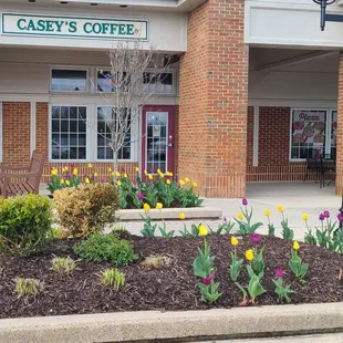 I&apos;m here for the gorge tulips !!