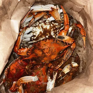 1 dozen blue crab