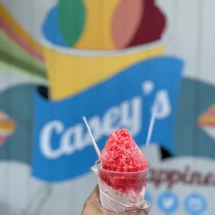 Casey's New Orleans Snowballs