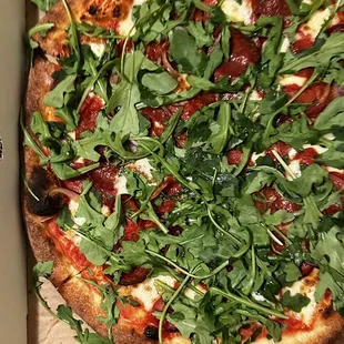 Bear DIY Pizza Kit