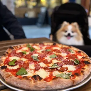 East Coast Pie