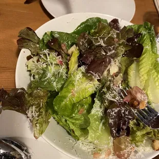 Seasonal Salad
