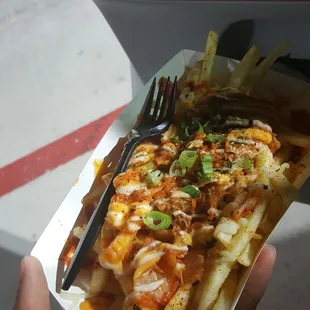 Kimchi fries I ordered