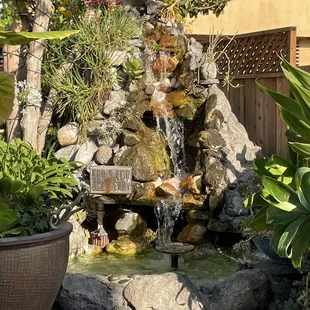 a waterfall in a garden