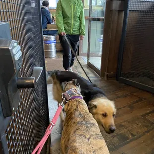 Entrance past bar to store