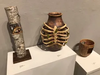 Argyle Zebra Gallery