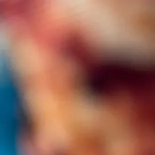 a close up of a piece of bread