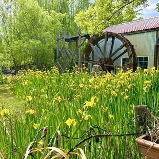 Water mill and pond