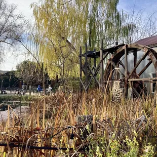 Beautiful winter day on the patio