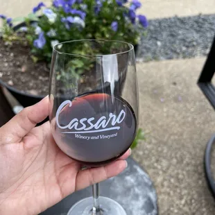 a hand holding a glass of wine