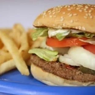 a hamburger and french fries