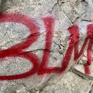 All about the cause, not the graffiti