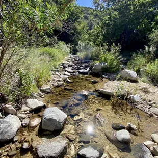 I'm not saying it's all bad!