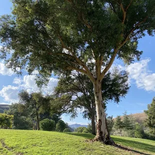 A beautiful walk along Castaic lake.