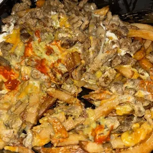 CARNE ASADA FRIES