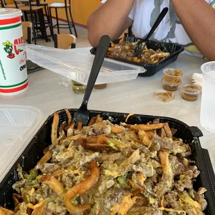 CARNE ASADA FRIES