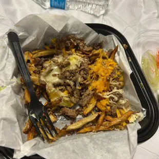 Carne Asada Fries