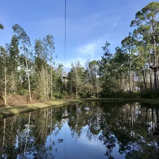 Edge of Florida's wild marsh wetlands