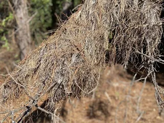 Sheffield Regional Park