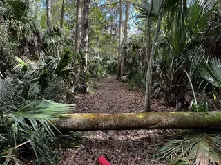 Kathryn Abbey Hanna Park