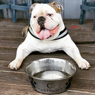 We love all the pups!