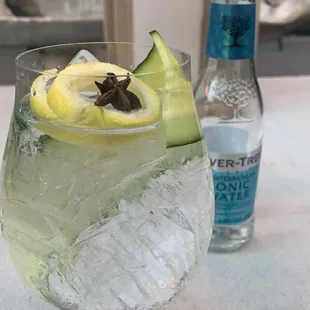 Gin and Tonic