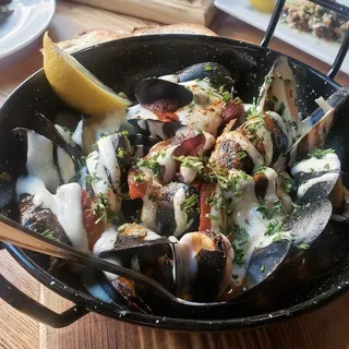 MUSSELS