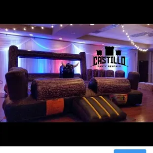 Different look for our bull.