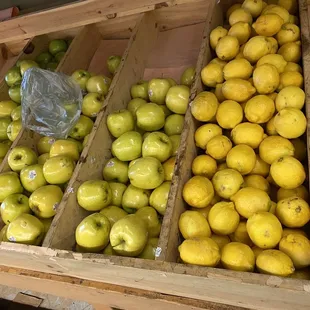 a display of apples and lemons