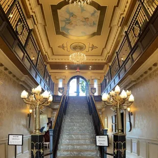 ramen and noodles, interior