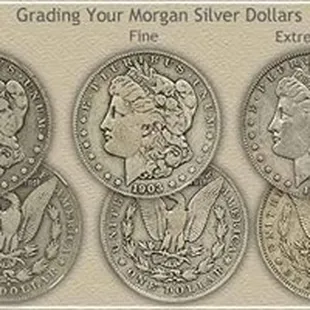 Free verbal appraisals of all coins.