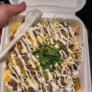 Asada Fries